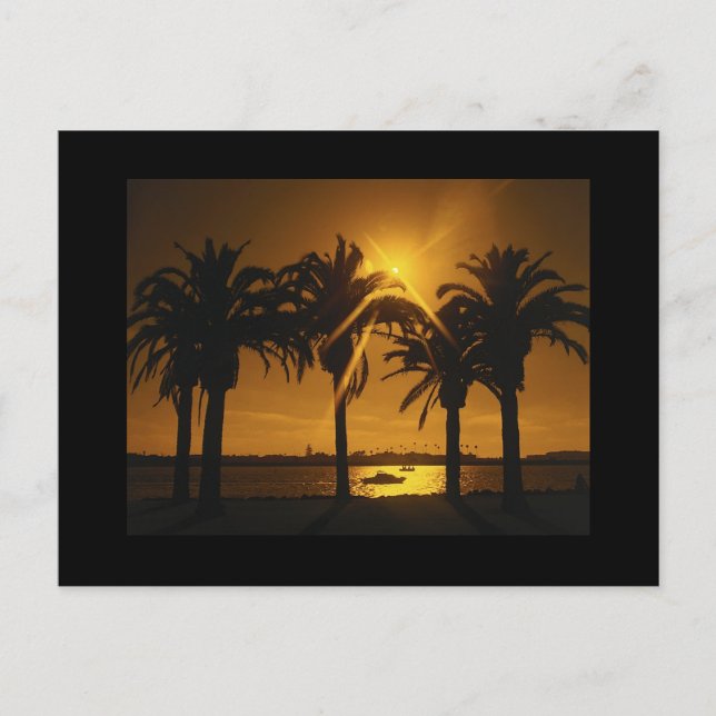 Make Your Own Save The Date Beach Wedding Theme An Announcement Postcard (Front)