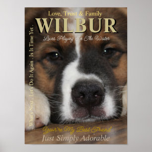 Make Your Pet The Star They Are Magazine Poster