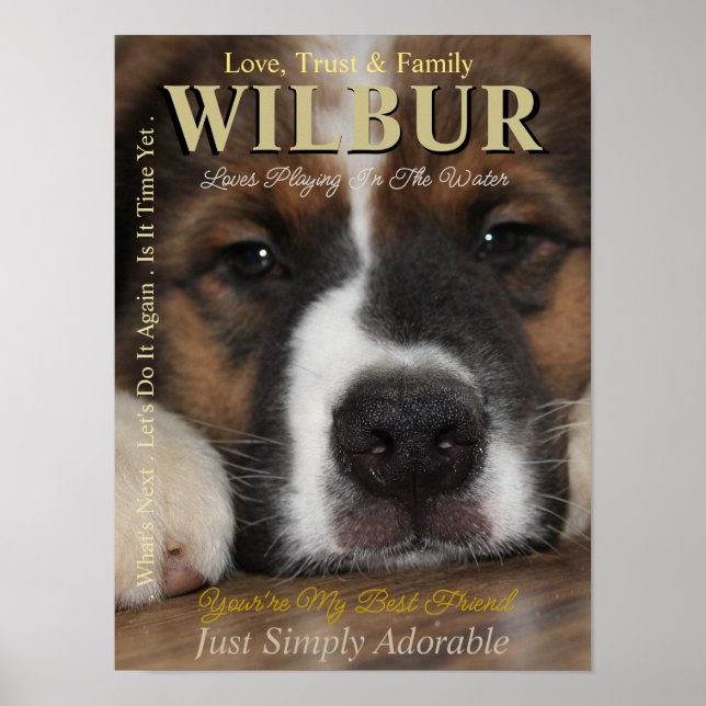 Make Your Pet The Star They Are Magazine Poster (Front)