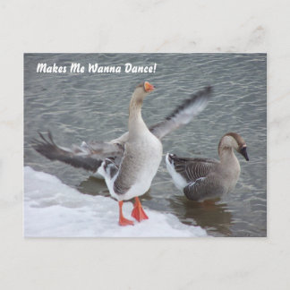 Makes Me Wanna Dance! Postcard