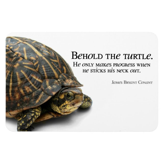 Makes Progress Magnet (Horizontal)