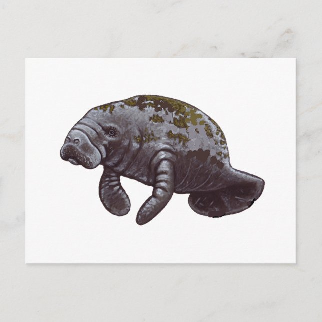 MAKES US HAPPY POSTCARD (Front)