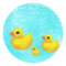 Makin' a Splash! Rubber Ducky Seals