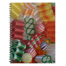 Making a List Checking it Twice  Journal