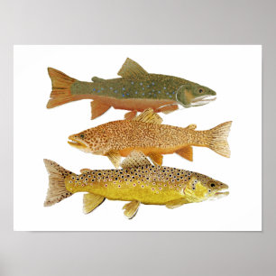 Making A Tiger Poster