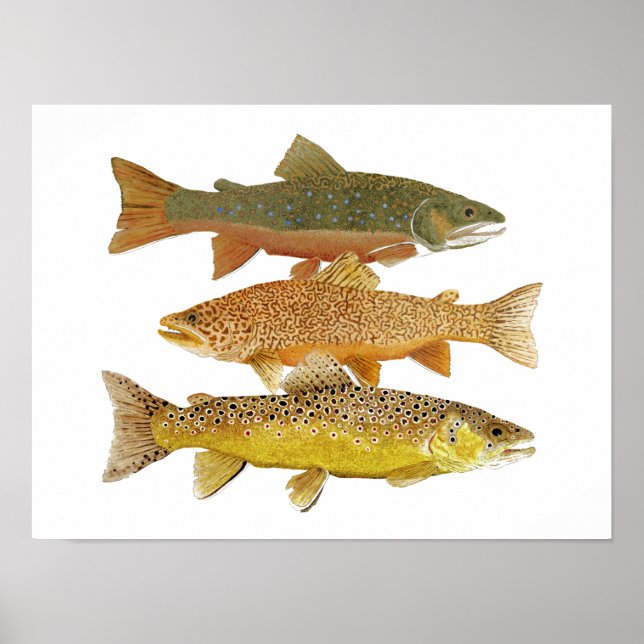 Making A Tiger Poster (Front)