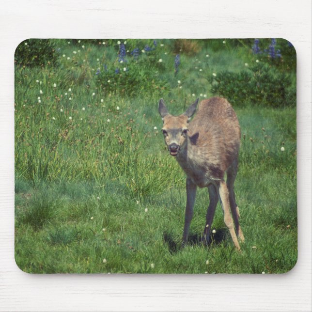 Making Face Mouse Pad (Front)