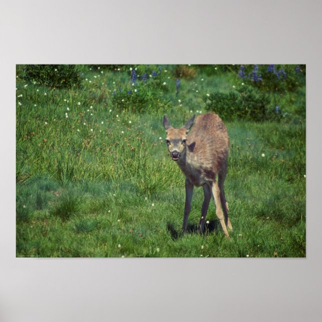 Making Face Poster (Front)