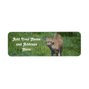 Making Face Return Address Label