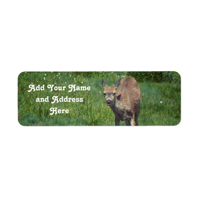 Making Face Return Address Label (Front)