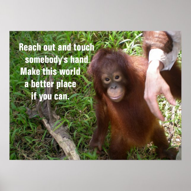 Making Friends Orangutan Wildlife Poster (Front)