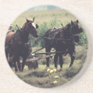 Making Hay Coaster