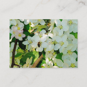 Making Honey Business Card