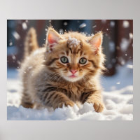 *~* Making Snow Ball Kitty 5:4 Kitten Cat AP68