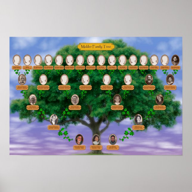 Makler family Tree - 19 x 13 Poster (Front)