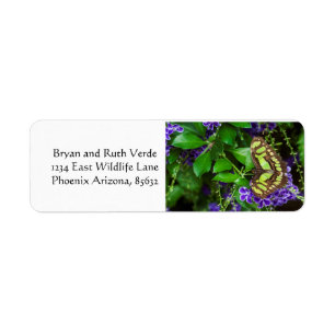 Malachite butterfly on purple flower return address label