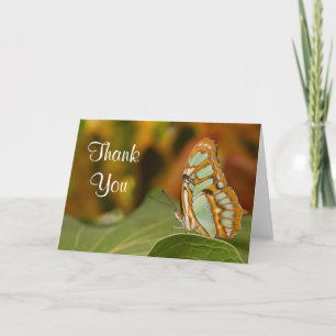 Malachite Butterfly Thank you Card