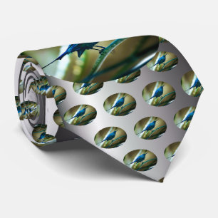 Malachite Sunbird Perched Closeup Tie