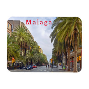 Malaga. #15. magnet