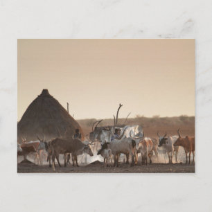 Malakal, village of Dinka ethnic group Postcard