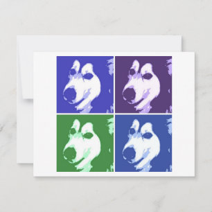 Malamute Dog
