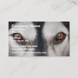 Malamute Dog Brown Eyes Business Card