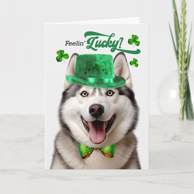 Malamute Dog Feelin' Lucky St Patrick's Day Holiday Card (Front)