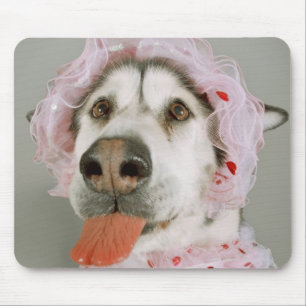 Malamute Dog Wearing a Tutu and Sticking Out Mouse Pad