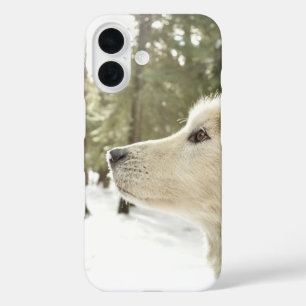 Malamute Face in Snowy Woods iPhone 16 Case