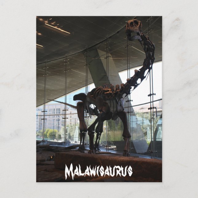 Malawisaurus Postcard (Front)