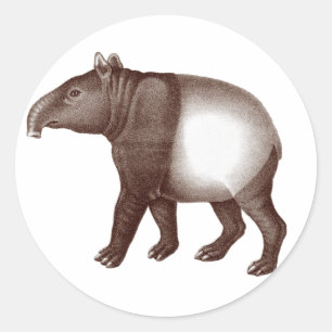 Malayan Tapir / Asian Tapir - Stickers