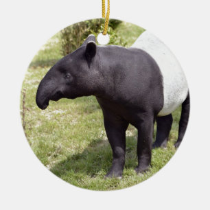 Malayan tapir on grass ceramic tree decoration
