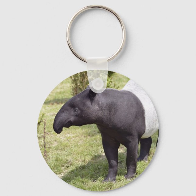 Malayan tapir on grass key ring (Front)