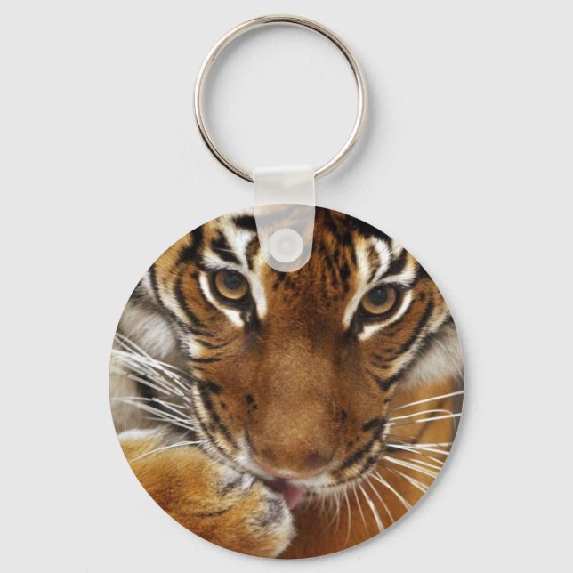 Malayan Tiger #1 keychain (Front)