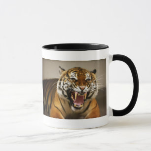 Malayan Tiger #2 mug