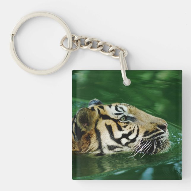 Malayan Tiger Swimming Headshot Key Ring (Front)