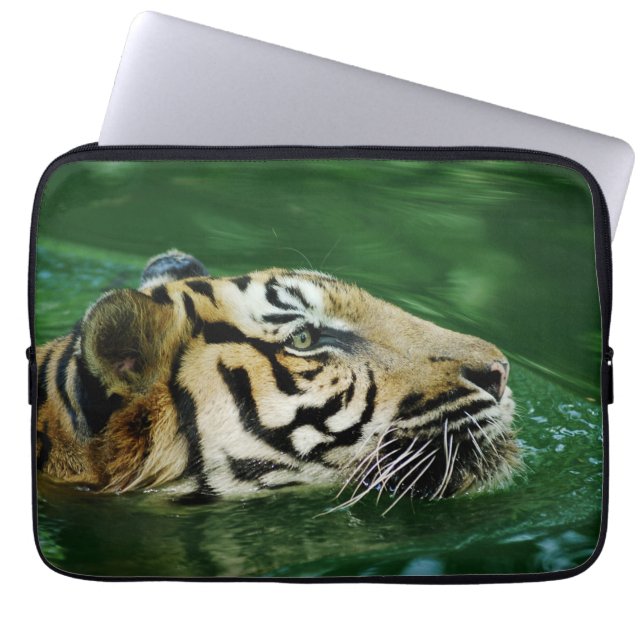 Malayan Tiger Swimming Headshot Laptop Sleeve (Front)