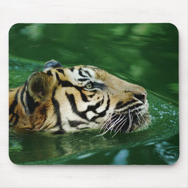 Malayan Tiger Swimming Headshot Mouse Pad (Front)
