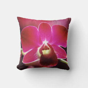Malaysia, Orchid Cushion