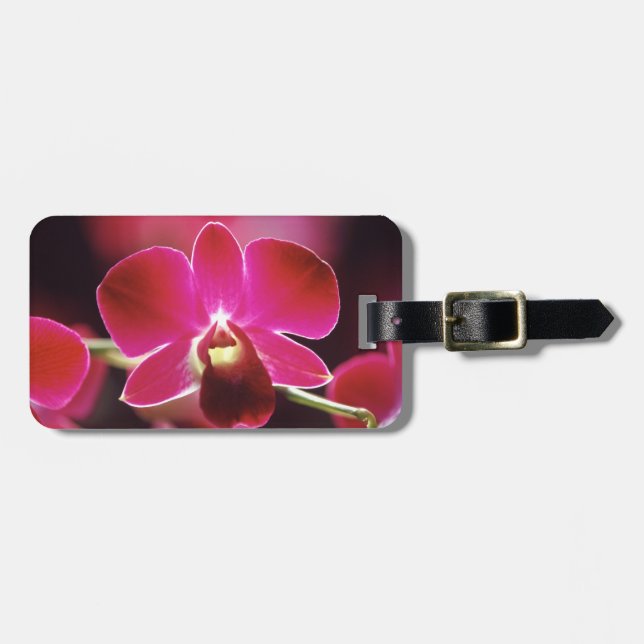 Malaysia, Orchid Luggage Tag (Front Horizontal)