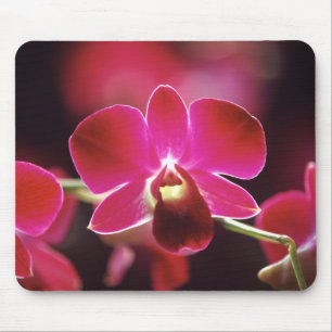 Malaysia, Orchid Mouse Pad