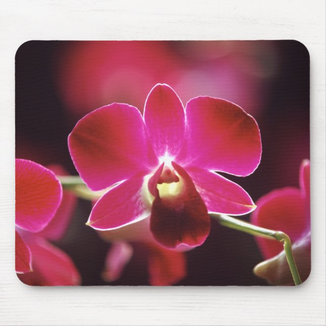 Malaysia, Orchid Mouse Pad (Front)