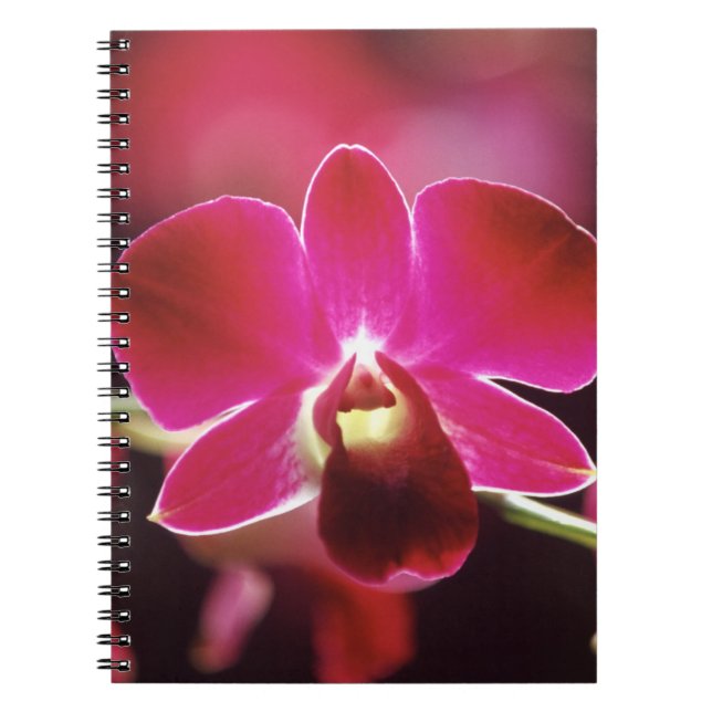 Malaysia, Orchid Notebook (Front)