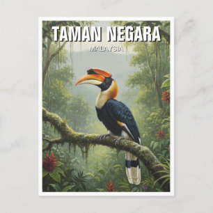 Malaysia Taman Negara Hornbill Postcard
