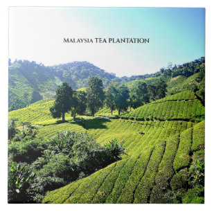 Malaysia Tea Plantation Ceramic Tile