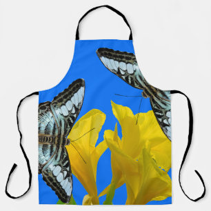 Malaysian blue clipper butterflies on Canna King Apron