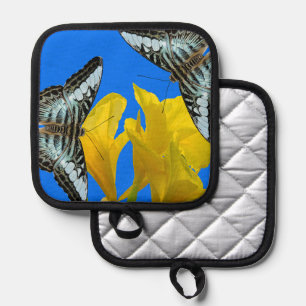 Malaysian blue clipper butterflies on Canna King  Pot Holder