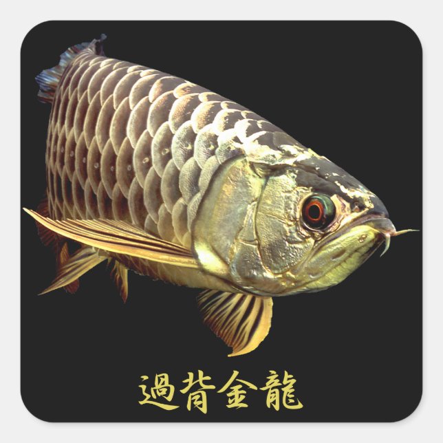 Malaysian Golden Arowana Square Sticker (Front)