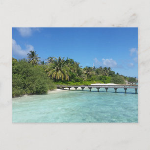 Maldives Beach Boardwalk Postcard