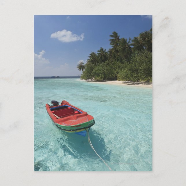 Maldives, Male Atoll, Kuda Bandos Island Postcard (Front)